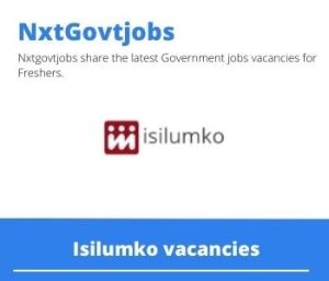 Isilumko Senior Manager Vacancies in Johannesburg 2022