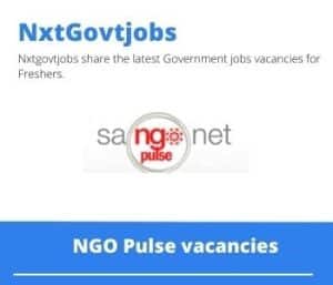 NGO Pulse social work Vacancies in Gauteng 2023